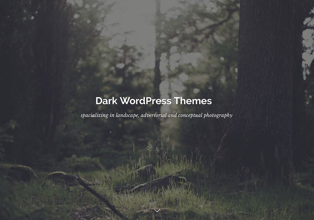 Best 15 Dark Palette WordPress Themes of 2023