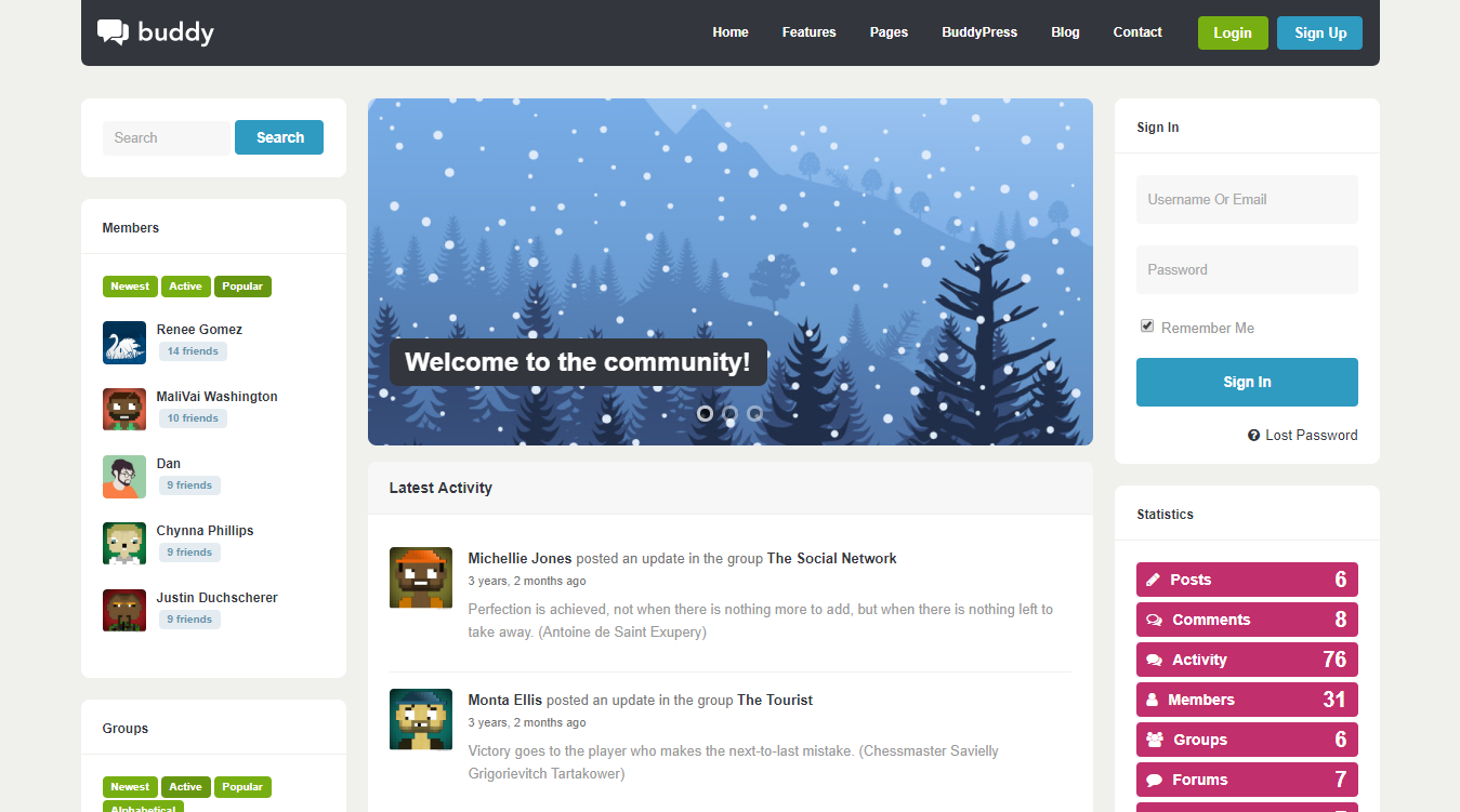 Buddy WordPress Theme