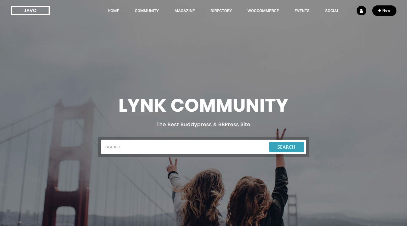 Lynk WordPress Theme