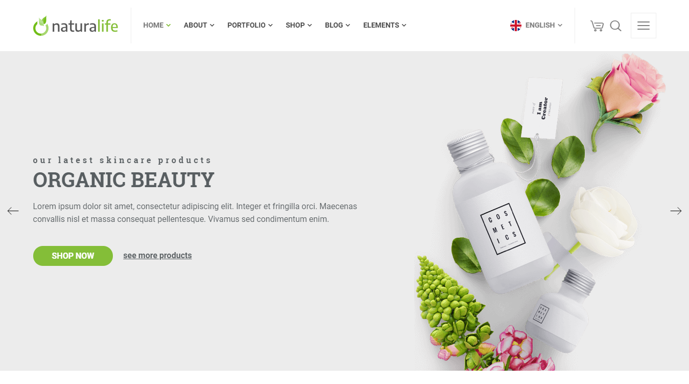 Naturalife WordPress Theme