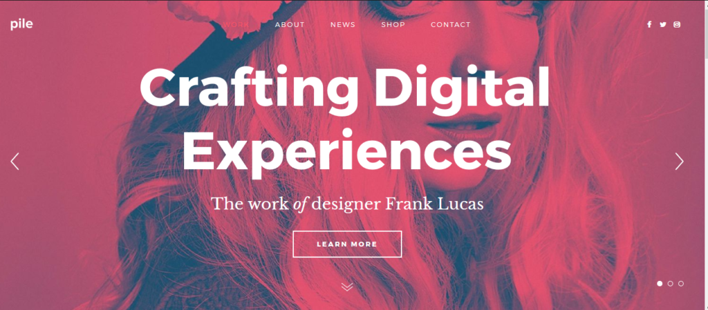 Best Portfolio WordPress Themes