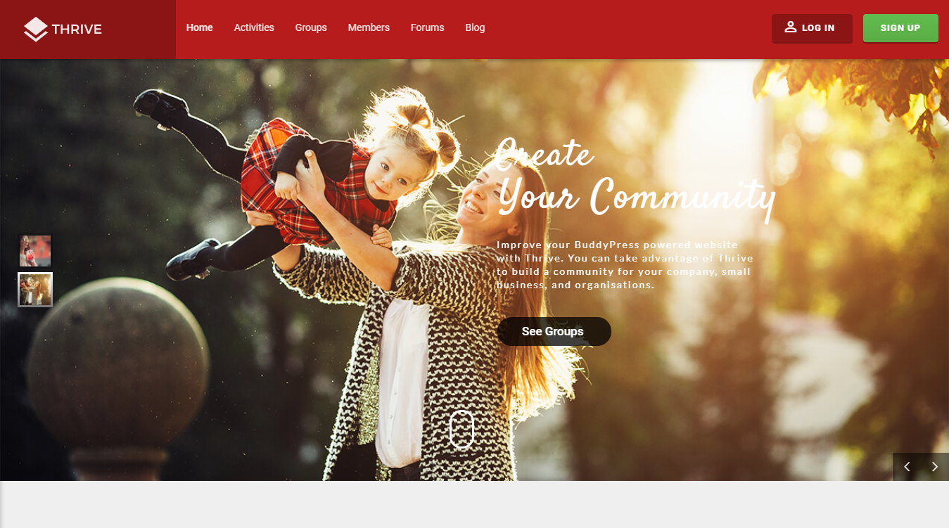 Thrive WordPress Theme